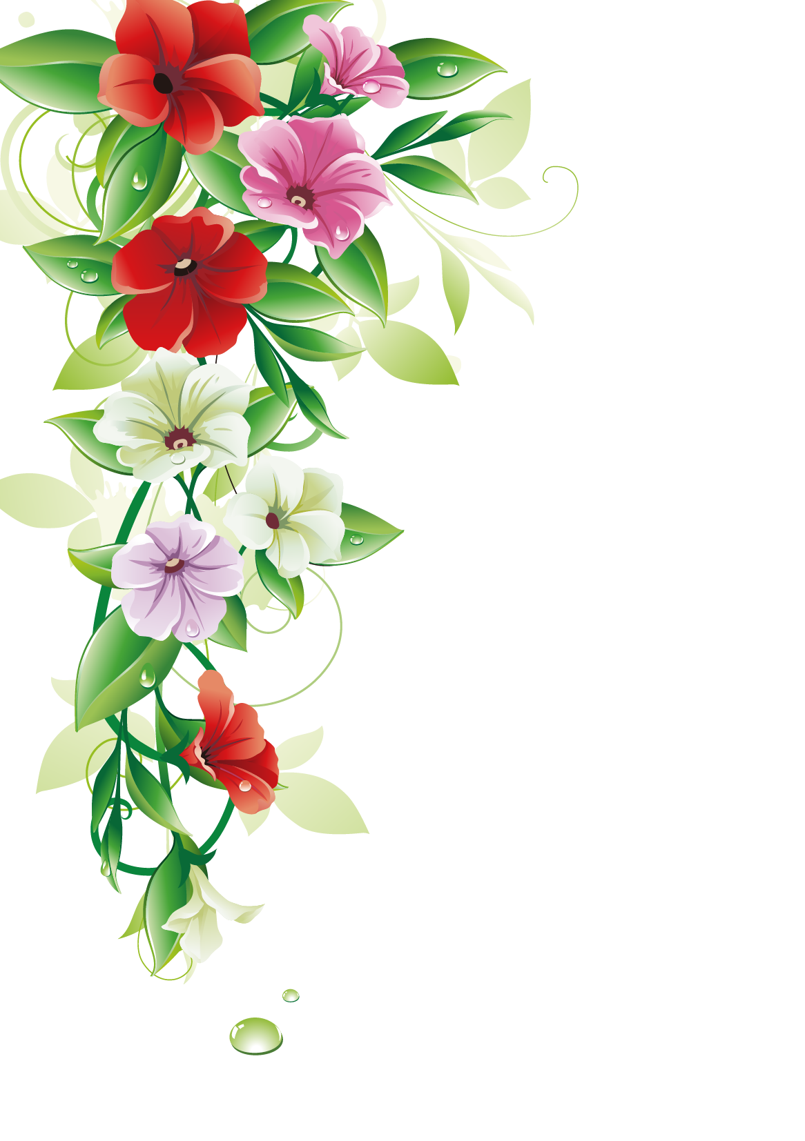 Flower Border Free Photo PNG Transparent PNG Image