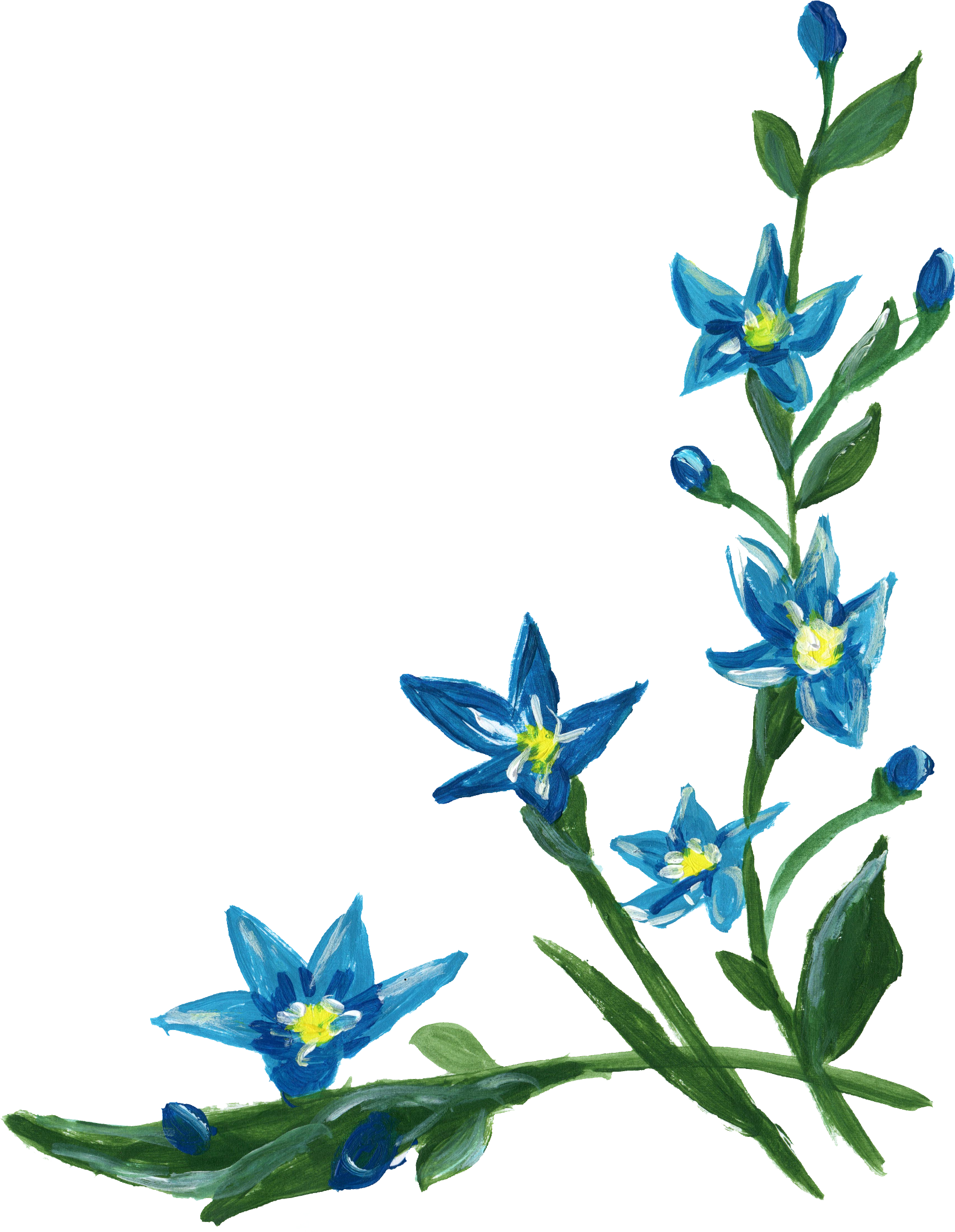 Blue Flower Border Free Transparent Image HD Transparent PNG Image