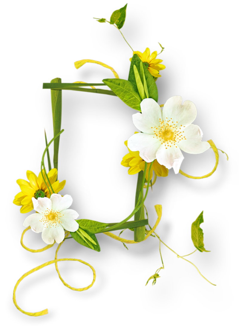 Frame Flower PNG Free Photo Transparent PNG Image