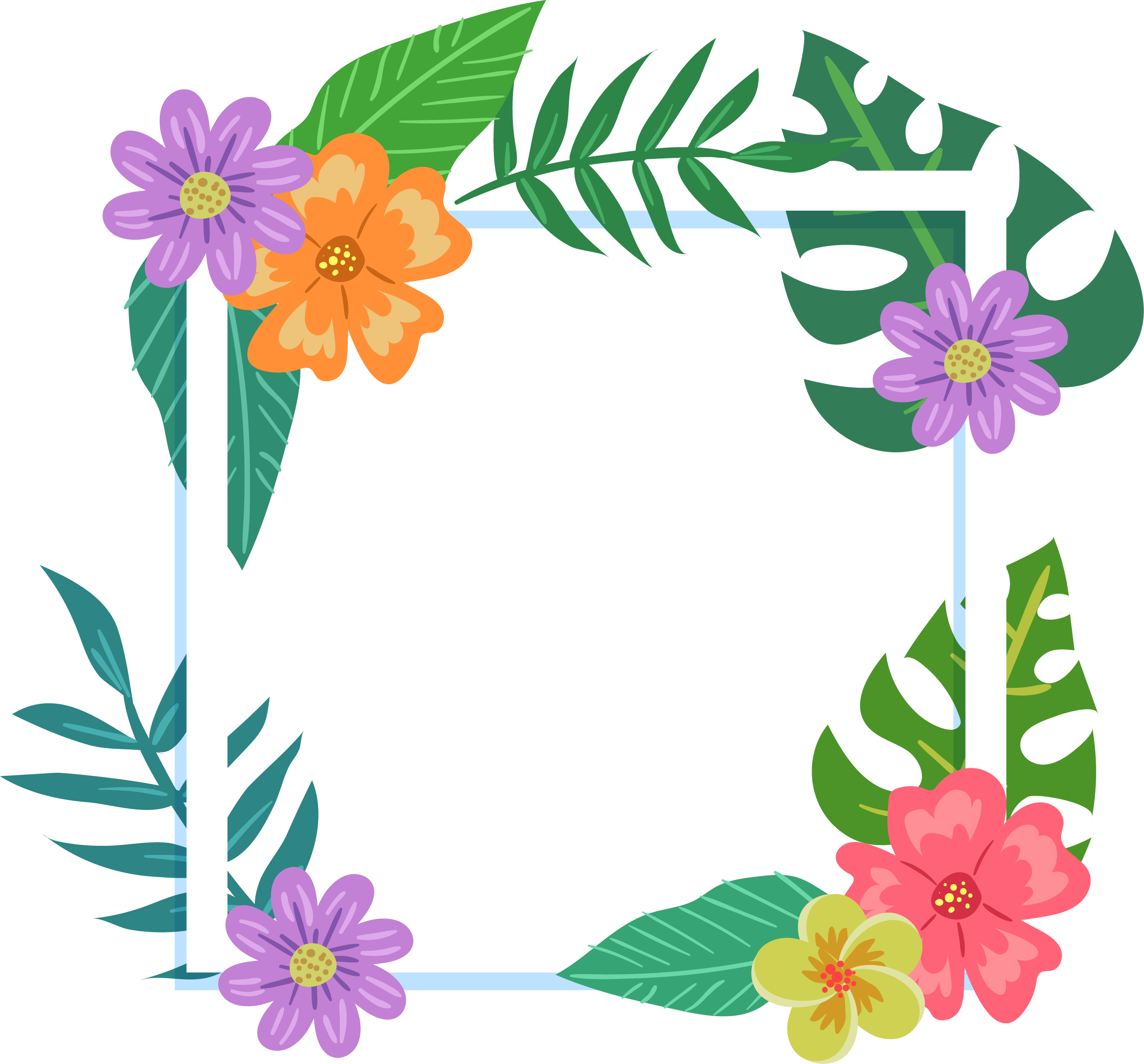 Picture Flower Colorful Tropics Frame Film Transparent PNG Image