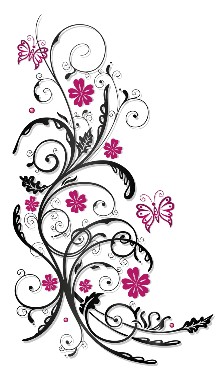 Pink Flower Photography Ornaments Tendril Stock Transparent PNG Image