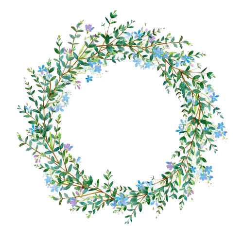 Flower Photography Wreath Illustration Ring Grass Stock Transparent PNG Image