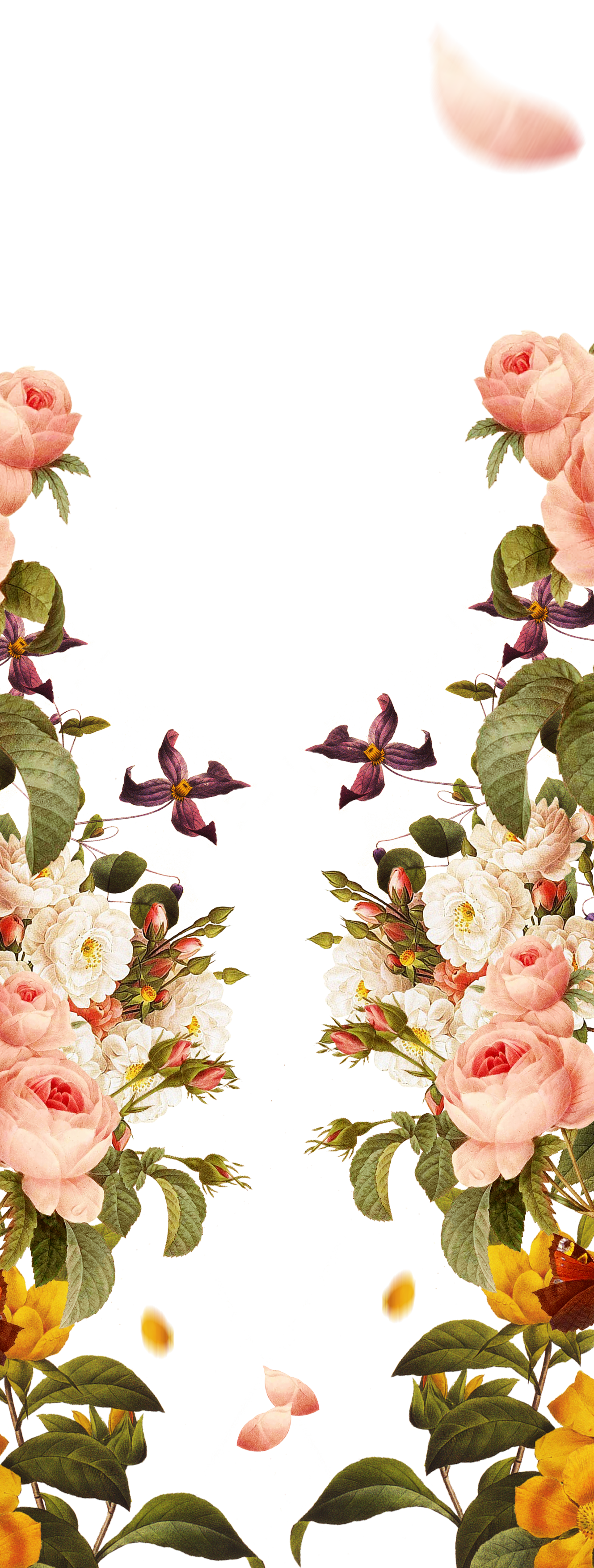 Pink Garden Painted Hand Roses Borders Flowers Transparent PNG Image