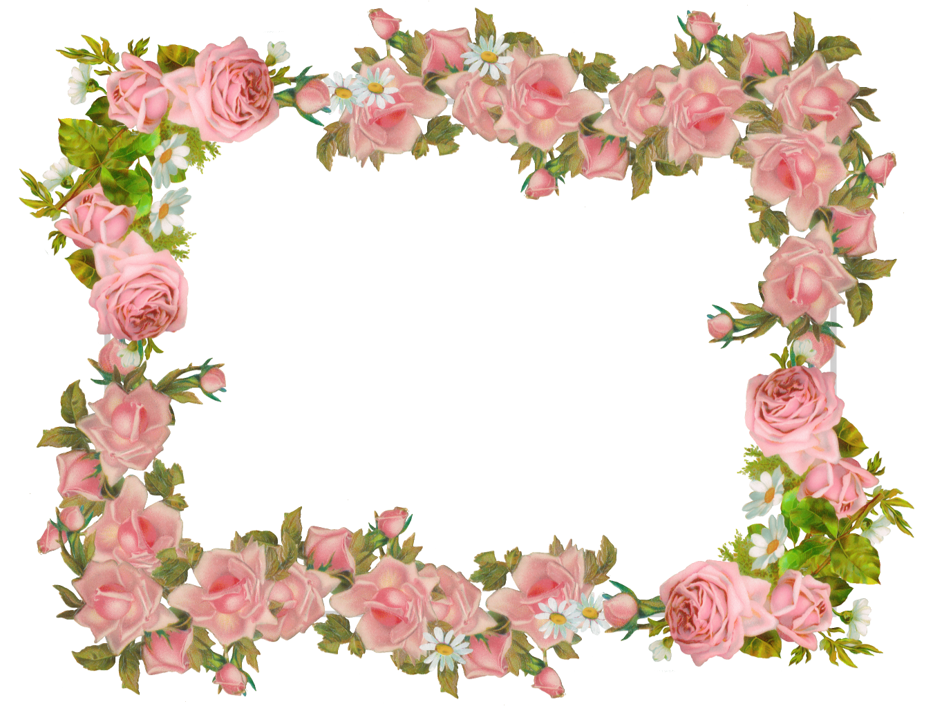 And Flower Vintage Frame Paper Rose Frames Transparent PNG Image