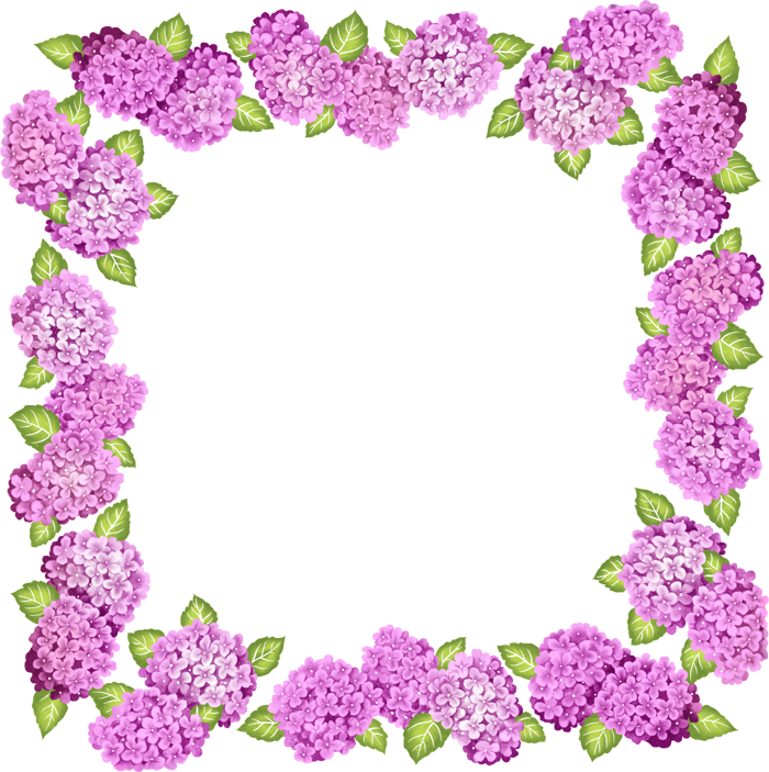 Purple Picture Frame Flower Free PNG HQ Transparent PNG Image