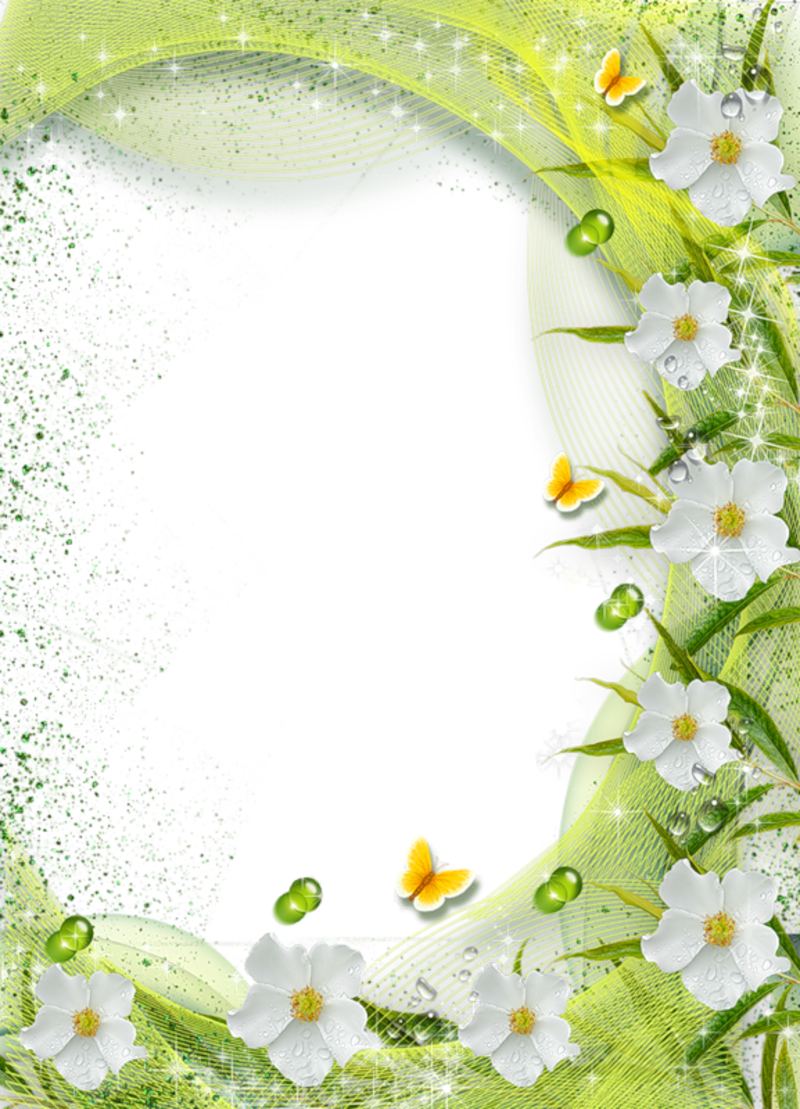 Picture Frame Flower White Transparent Free HQ Image Transparent PNG Image