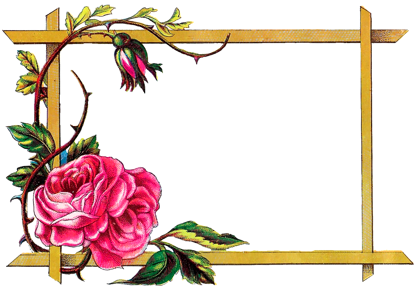 Frames Picture Frame Flower Art Free Photo PNG Transparent PNG Image