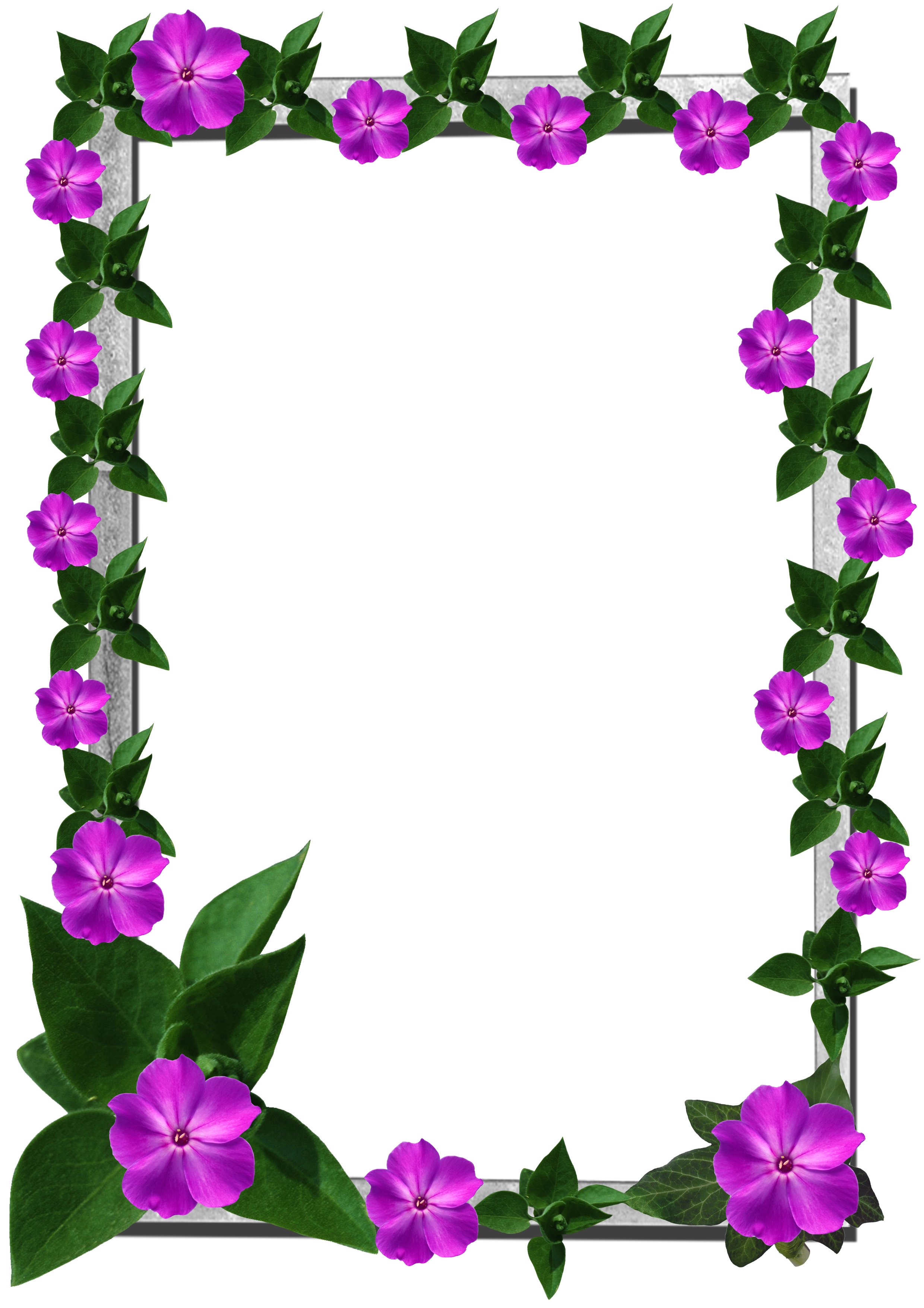 Frames Picture Frame Flower HD Image Free PNG Transparent PNG Image