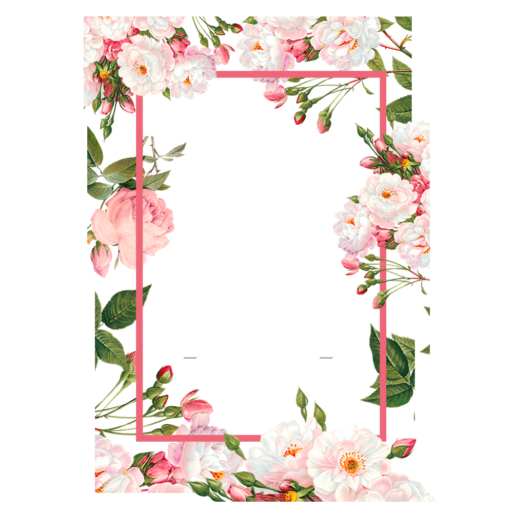 Pink Borders Flower Free PNG HQ Transparent PNG Image