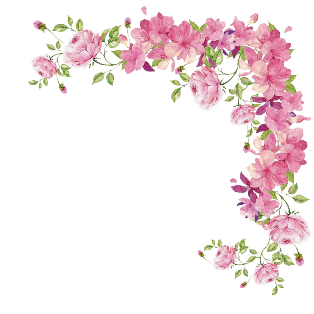 Pink Rose Flowers Border Flower Free Photo PNG Transparent PNG Image