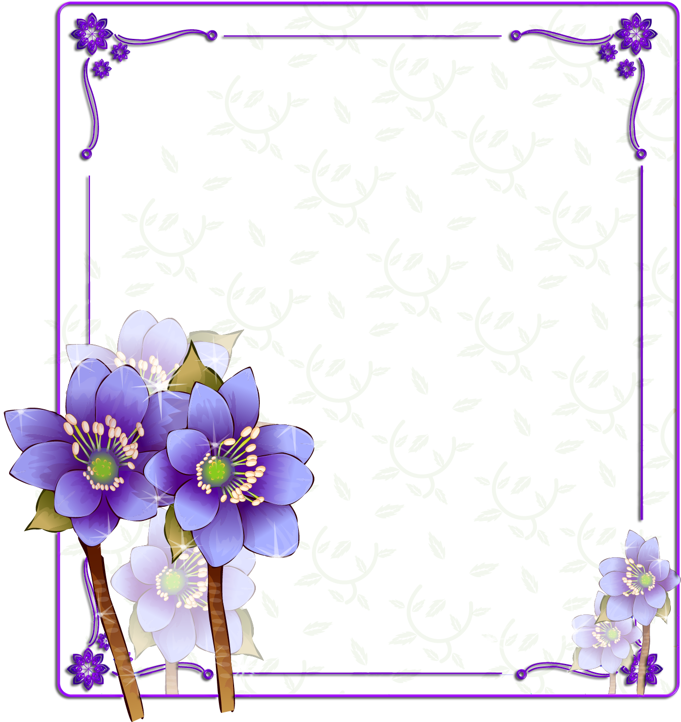 Purple Color Photography Flower Frame Free Download PNG HD Transparent PNG Image