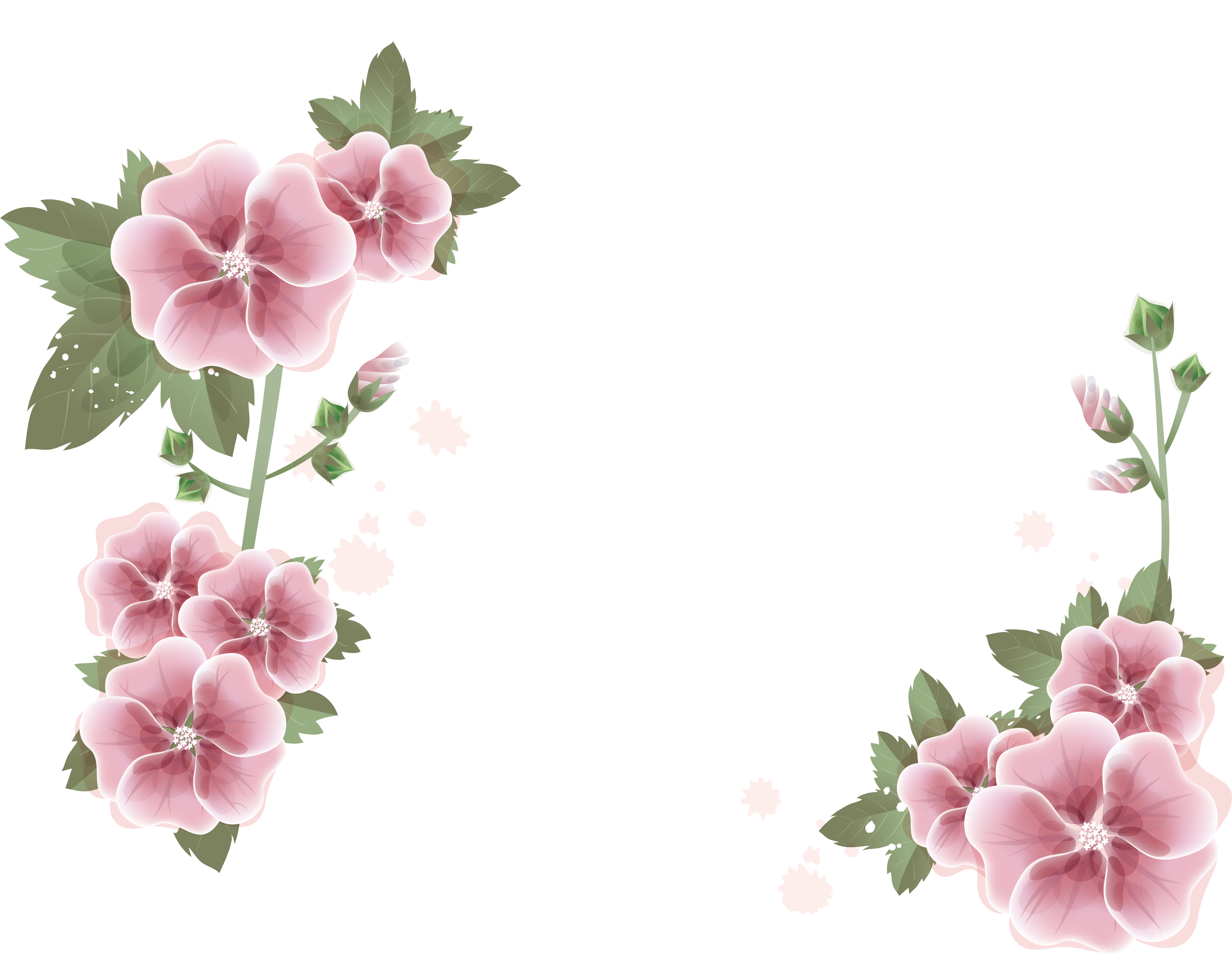 Pink Flower Photography Royalty-Free Border Stock Transparent PNG Image