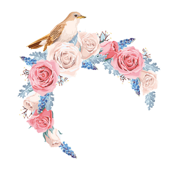 Flower Rose Euclidean Vector Flowers Border Transparent PNG Image