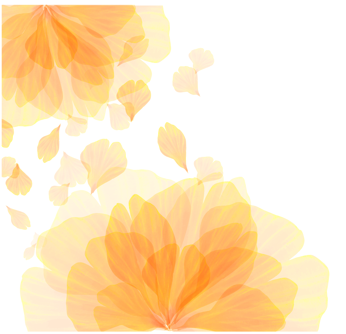 Flower Computer Pattern Wallpaper Texture Vector Orange Transparent PNG Image