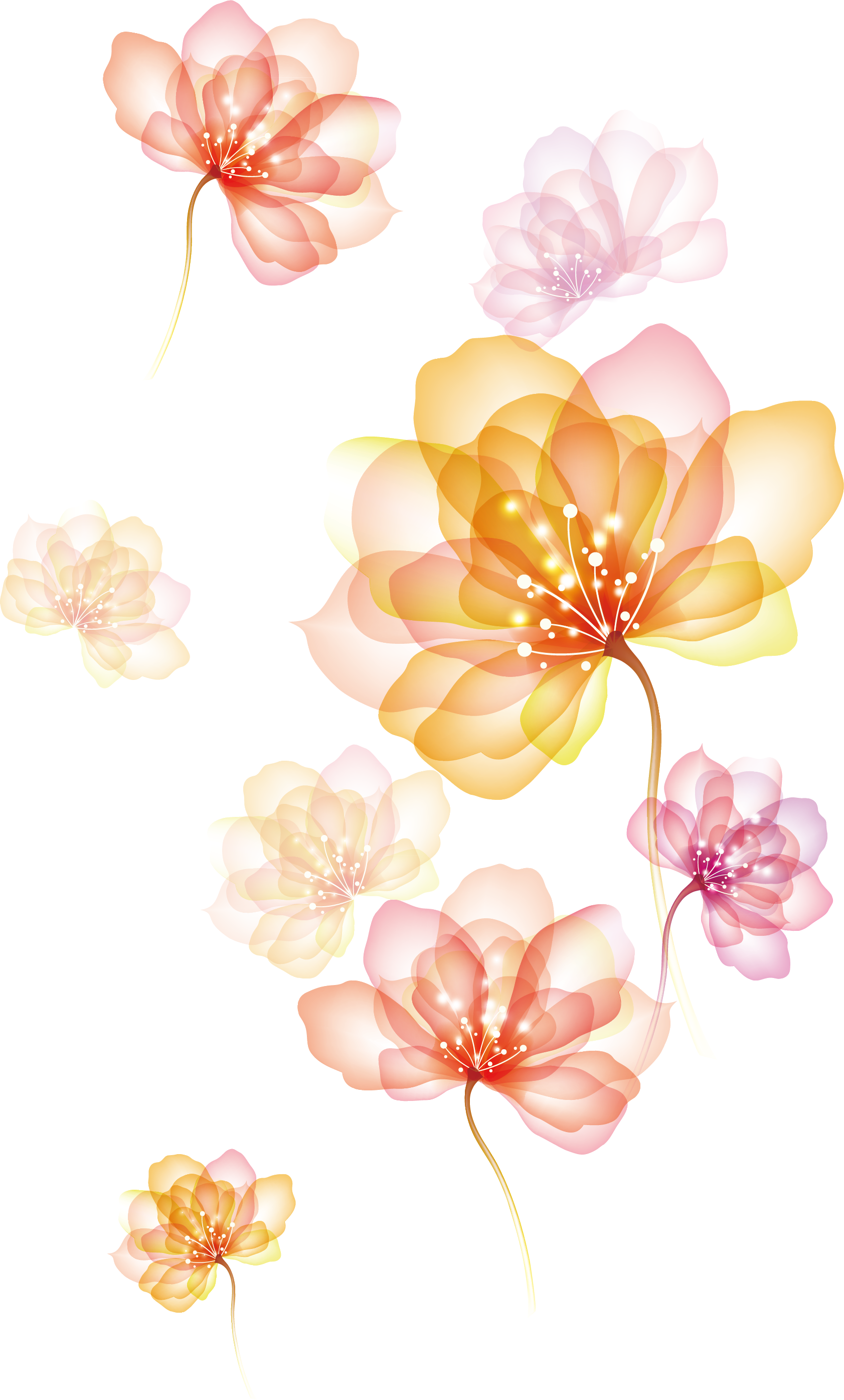 Of Spreading Flowers Effect Download Free Image Transparent PNG Image