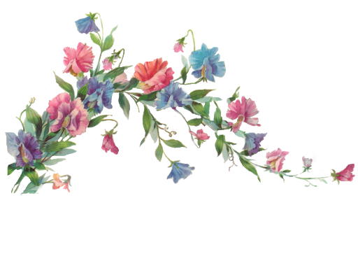 Vector Pic Flower Artwork Free Photo Transparent PNG Image