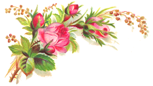 Vector Flower Artwork Free Download Image Transparent PNG Image