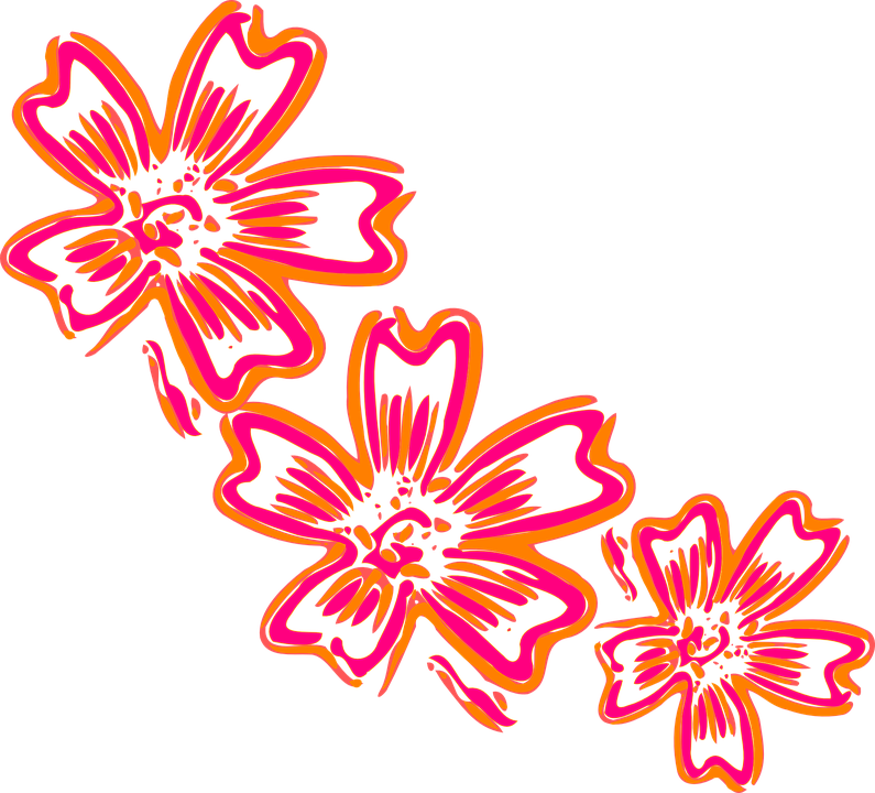 Flower Artwork Free Photo Transparent PNG Image