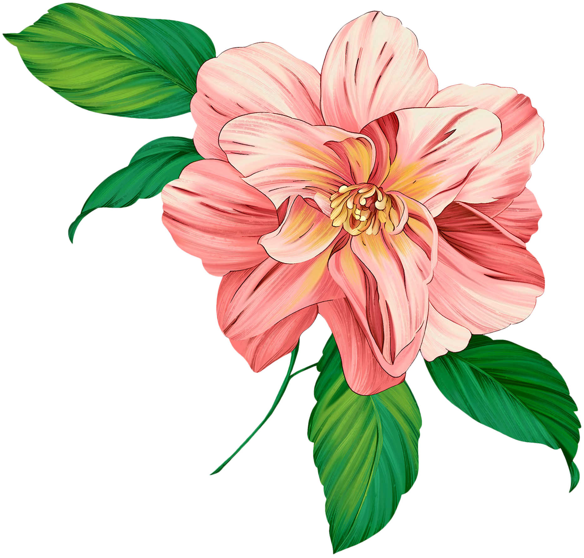 Flower Artwork Free Clipart HD Transparent PNG Image