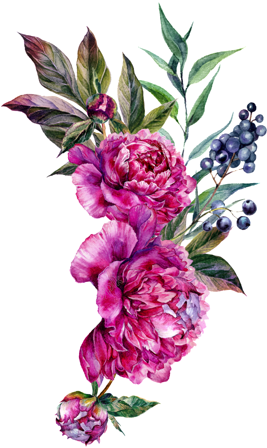 Picture Flower Artwork PNG File HD Transparent PNG Image