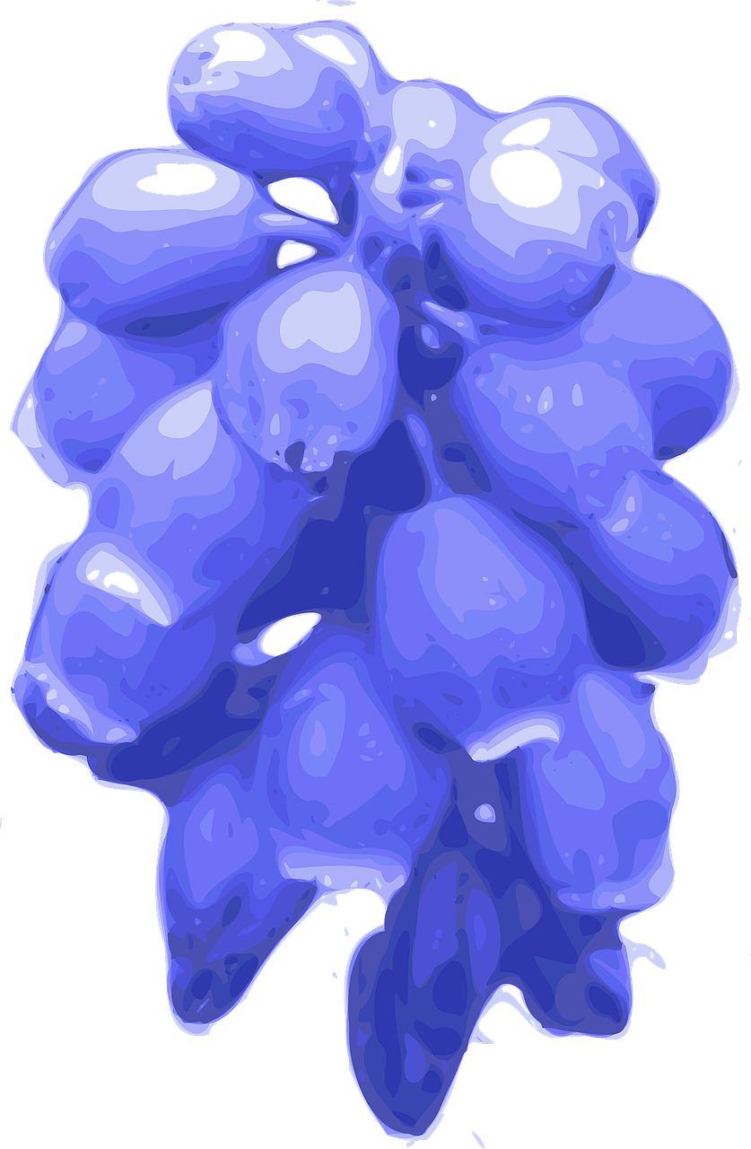 Bluebells PNG Image High Quality Transparent PNG Image