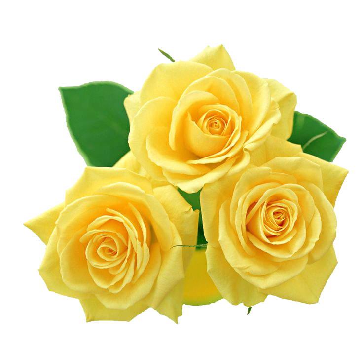 Yellow Flowers Bouquet File Transparent PNG Image