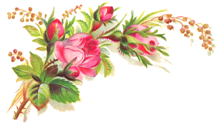 Pink Roses Flowers Bouquet Transparent Background Transparent PNG Image