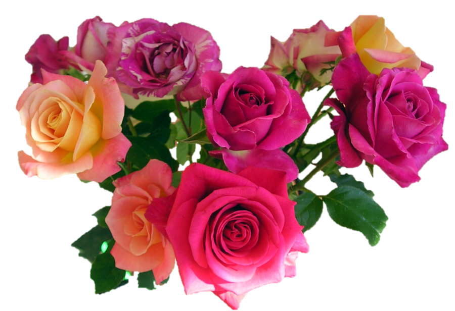 Pink Roses Flowers Bouquet Image Transparent PNG Image