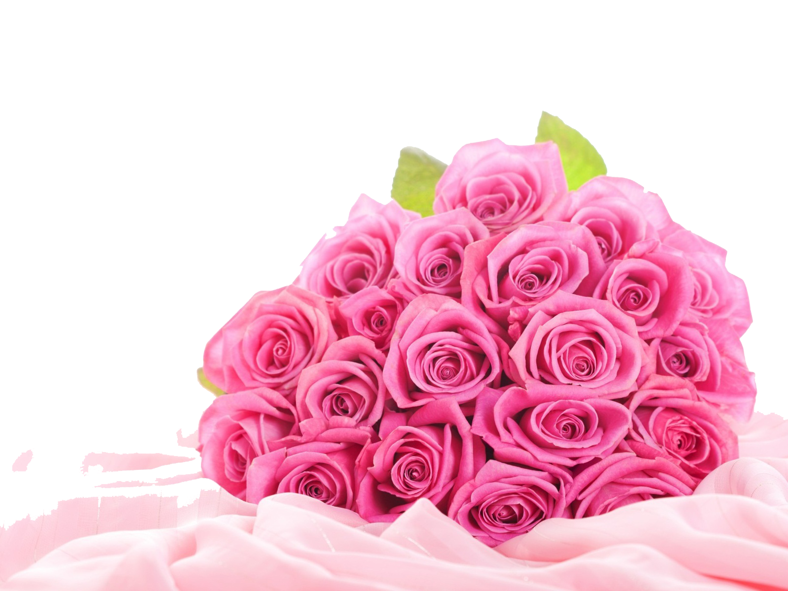 Pink Roses Flowers Bouquet Clipart Transparent PNG Image