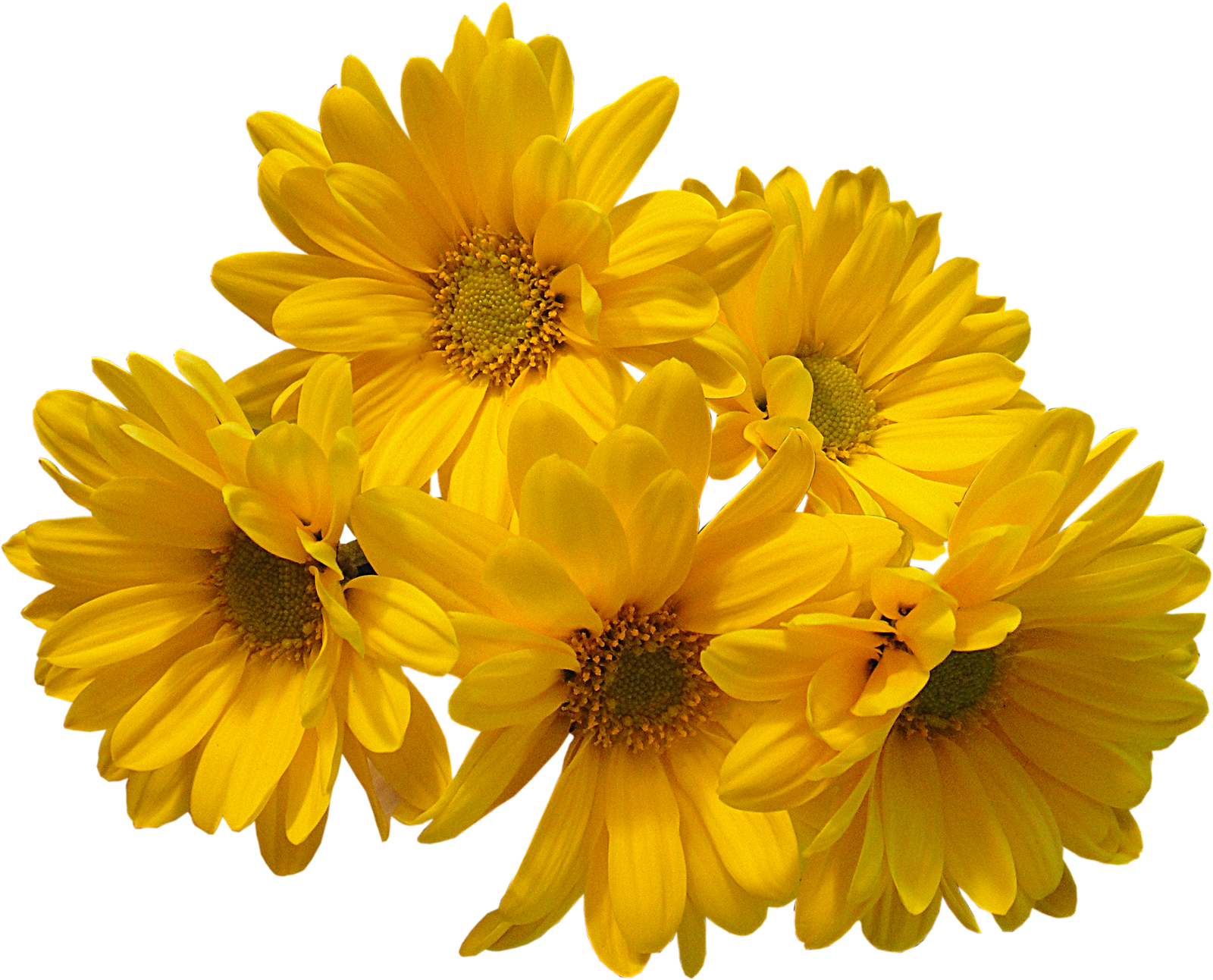 Yellow Flowers Bouquet Transparent Image Transparent PNG Image