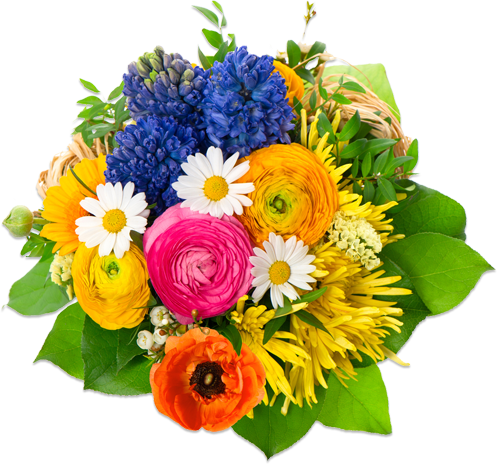 Flowers Image Transparent PNG Image