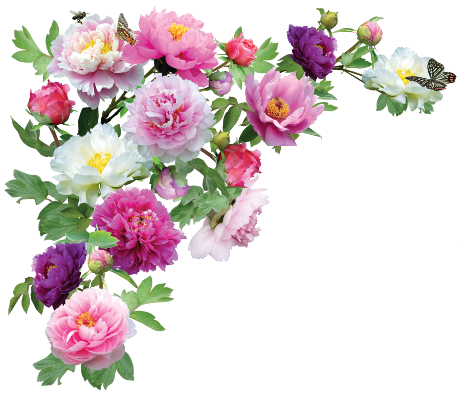 Flowers Transparent Transparent PNG Image