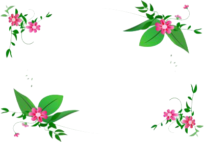 Flowers Borders Free Download Png Transparent PNG Image