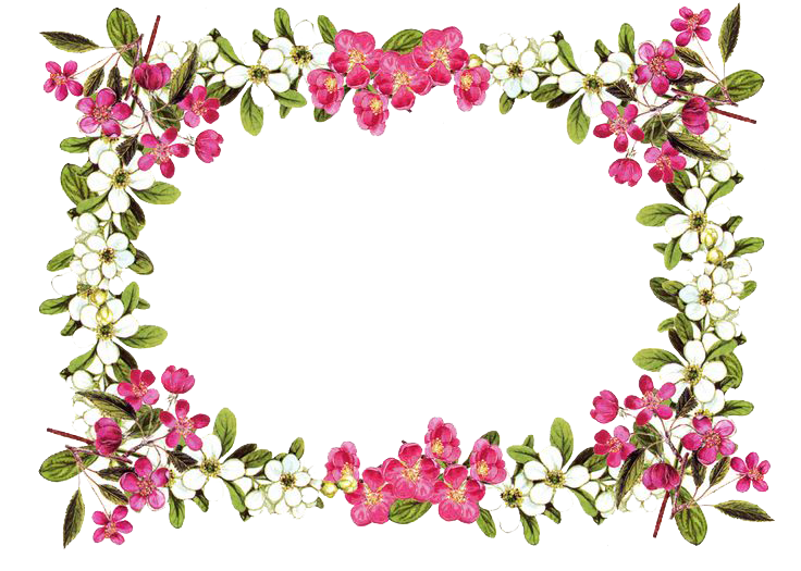 Flowers Borders Png Clipart Transparent PNG Image