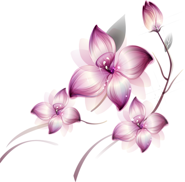 Flowers Png Transparent PNG Image