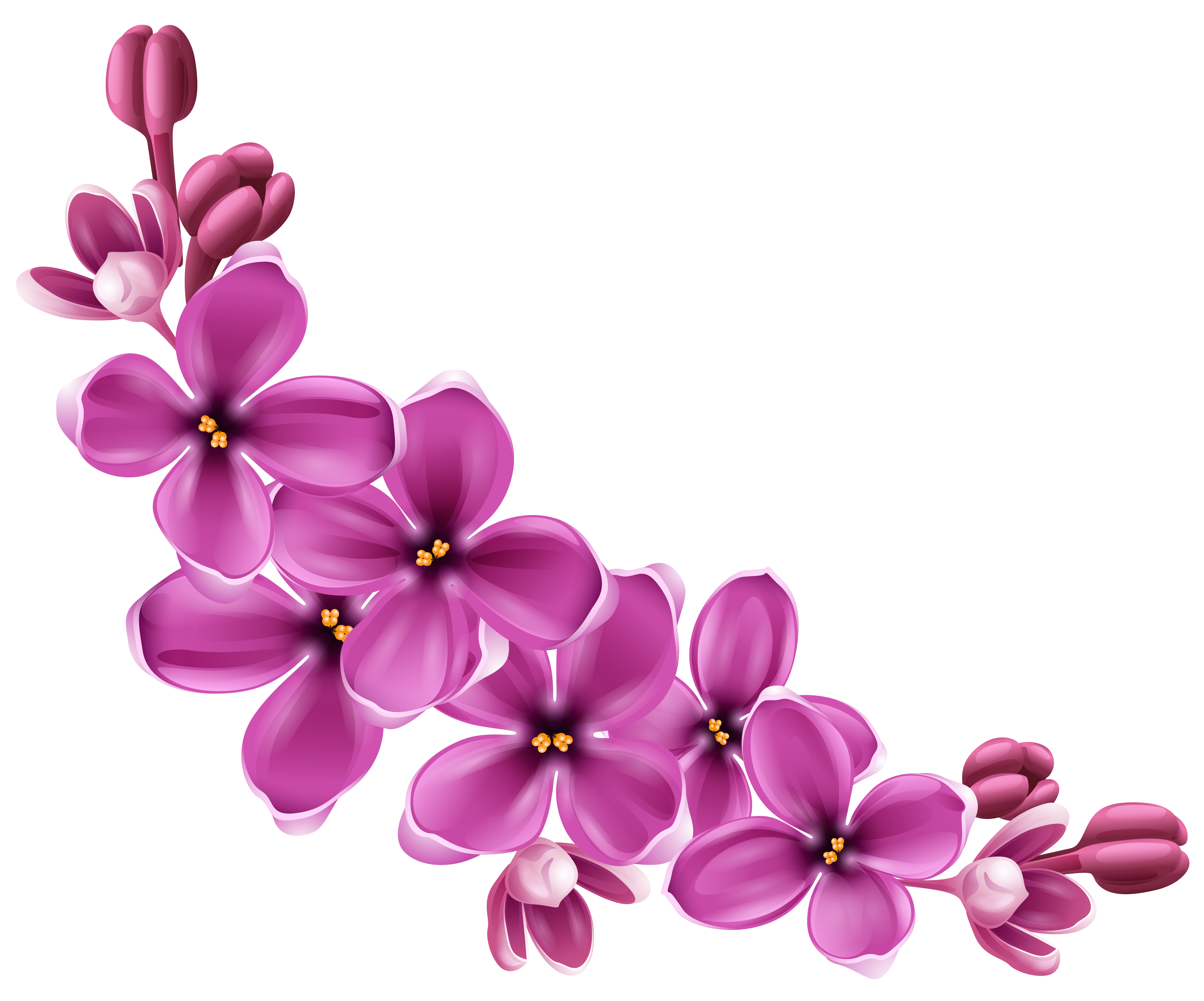 Flowers Png 9 Transparent PNG Image