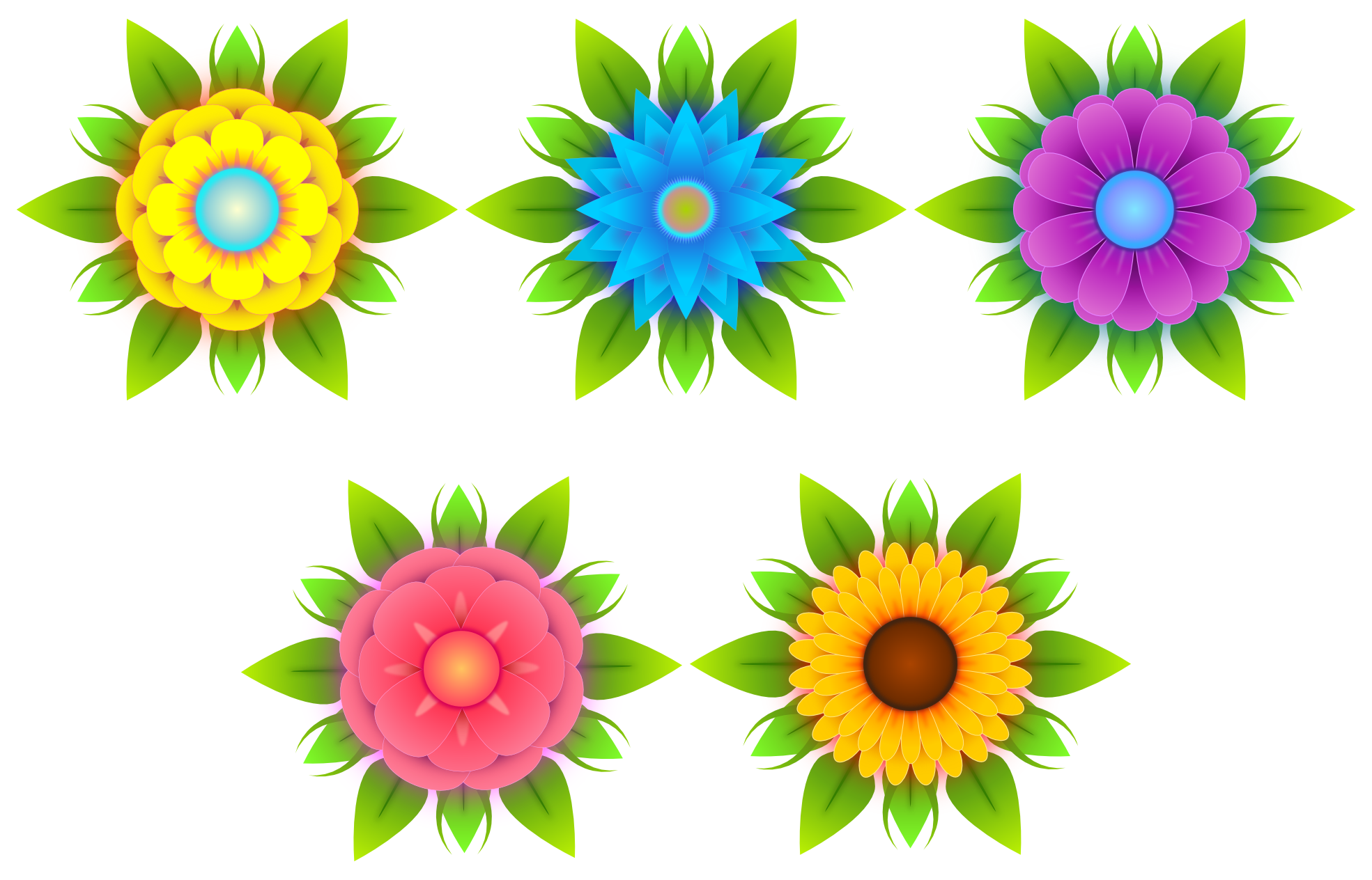 Flowers Vectors Free Download Png Transparent PNG Image