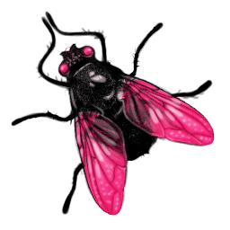 Fly Png Image Transparent PNG Image