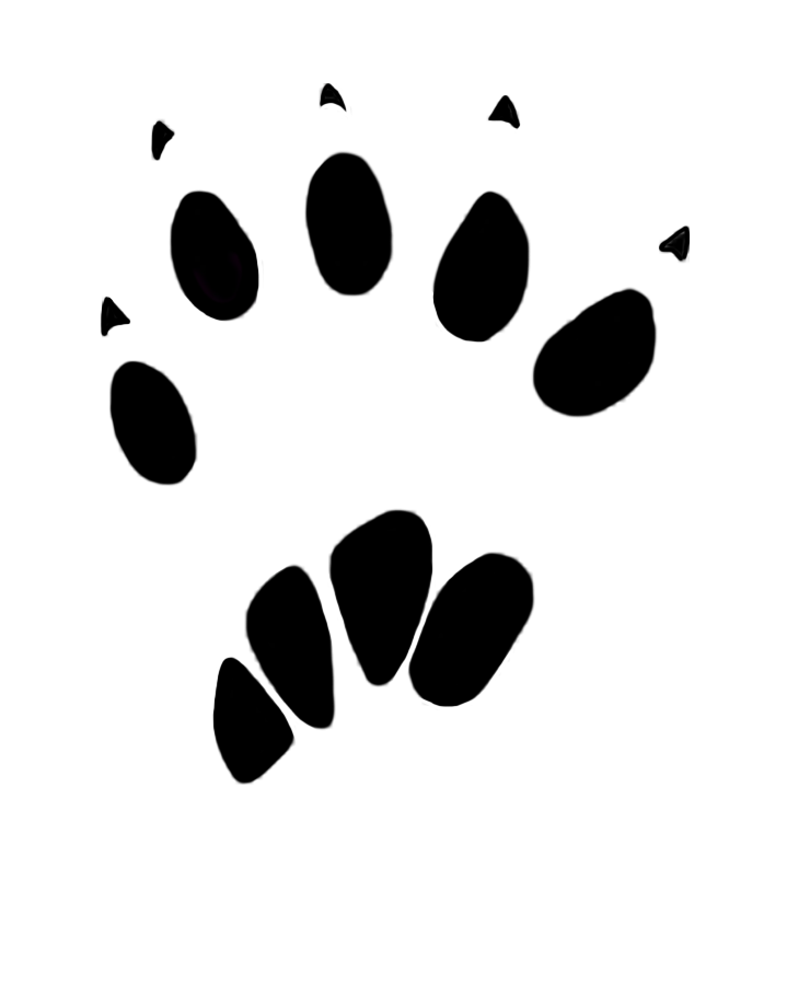 Footprint Images Animal PNG Image High Quality Transparent PNG Image