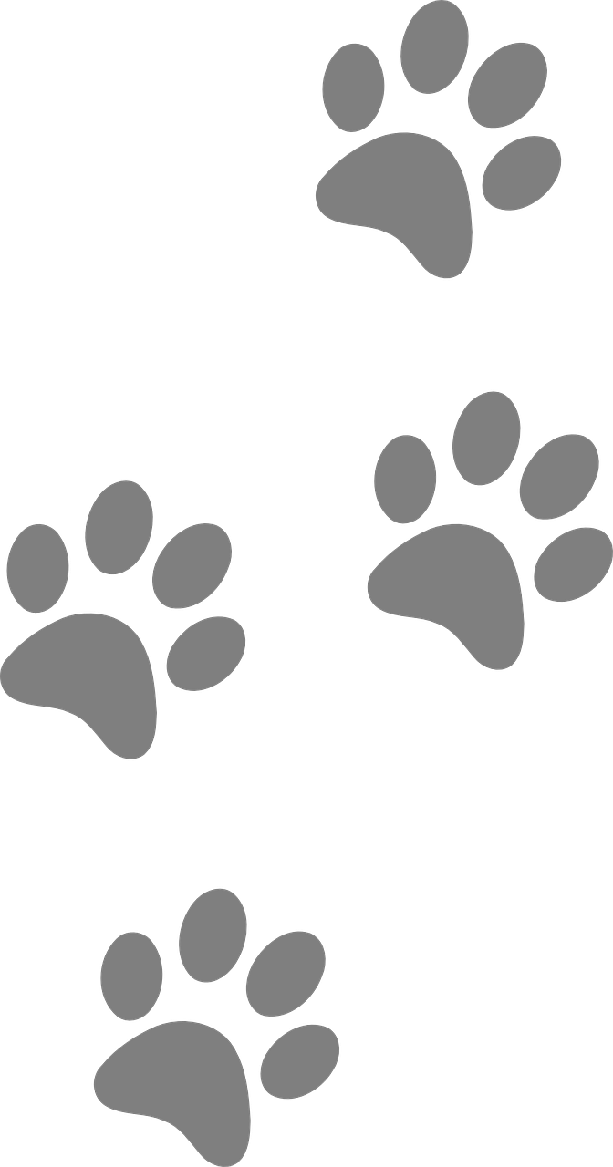 Footprint Animal Free HQ Image Transparent PNG Image