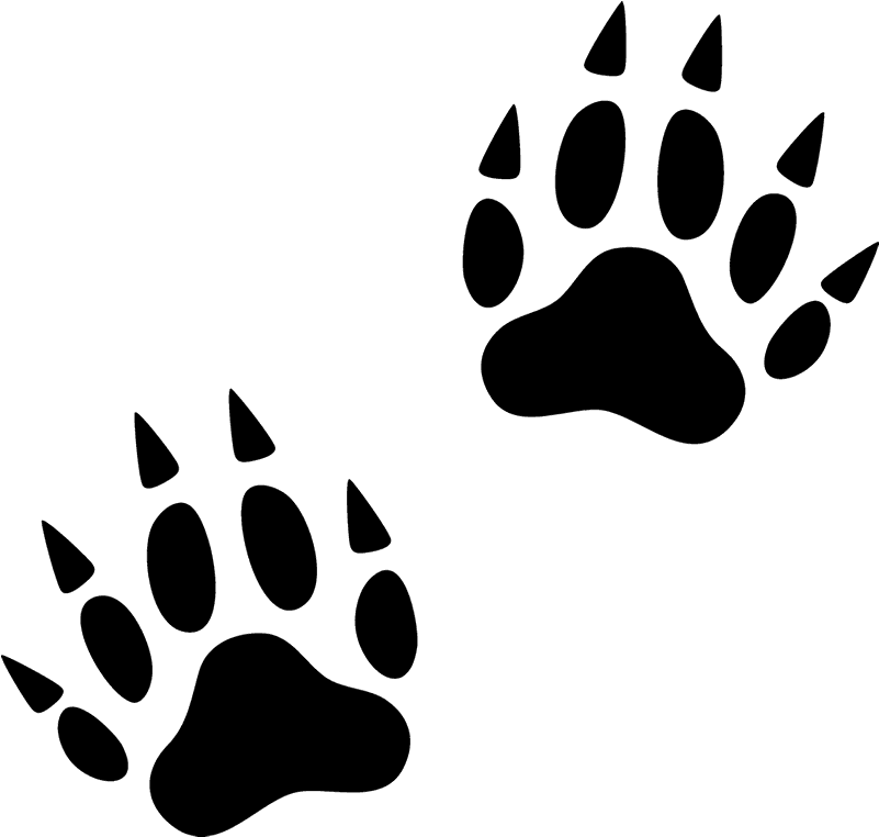 Footprint Animal Free Clipart HQ Transparent PNG Image