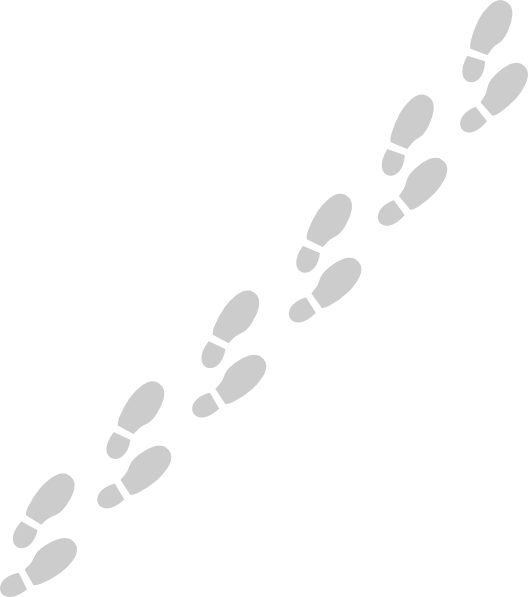 Footprints Shoe PNG Image High Quality Transparent PNG Image