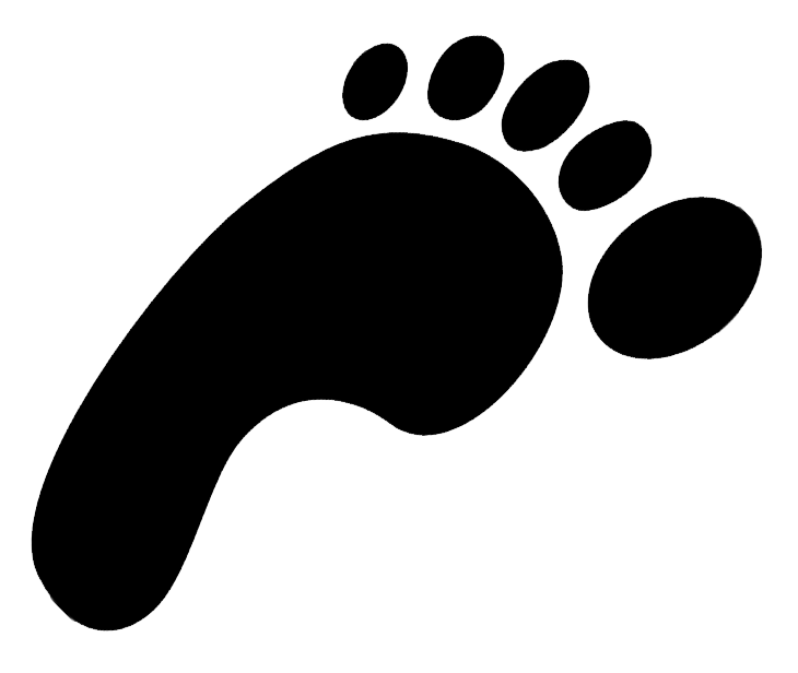 Footprints Transparent Transparent PNG Image