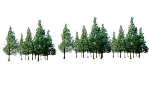 Pic Tree Forest Free Transparent Image HQ Transparent PNG Image