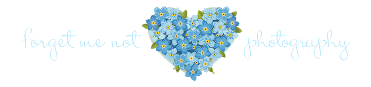 Forget Me Not Photo Transparent PNG Image