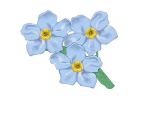 Forget Me Not Transparent Picture Transparent PNG Image