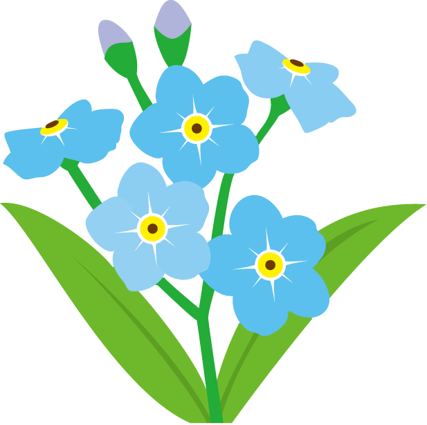 Forget Me Not Transparent Background Transparent PNG Image