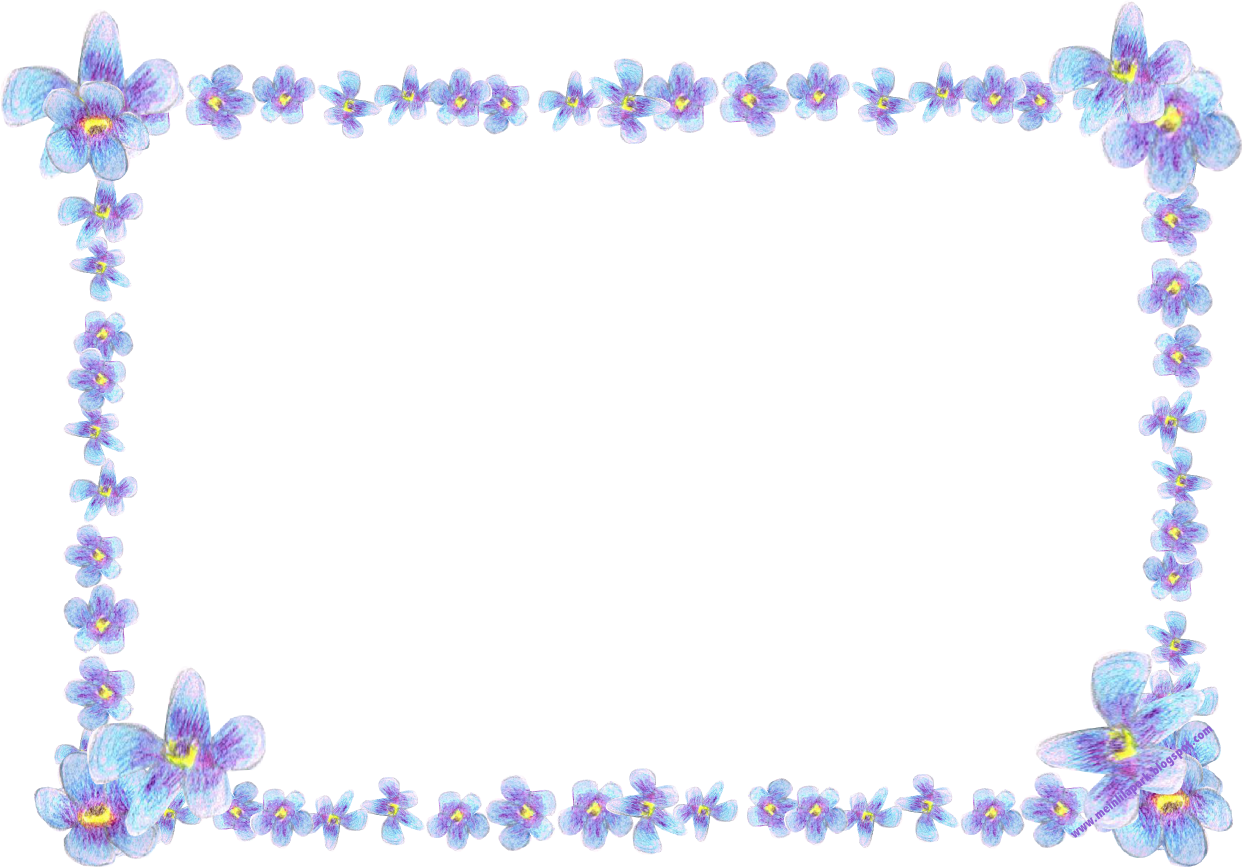 Forget Me Not Transparent Transparent PNG Image