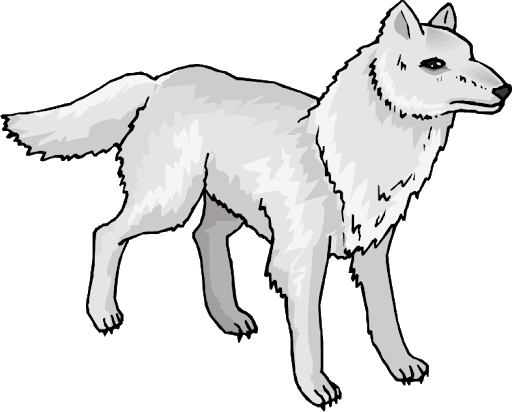 Arctic Fox Snow Download HD Transparent PNG Image