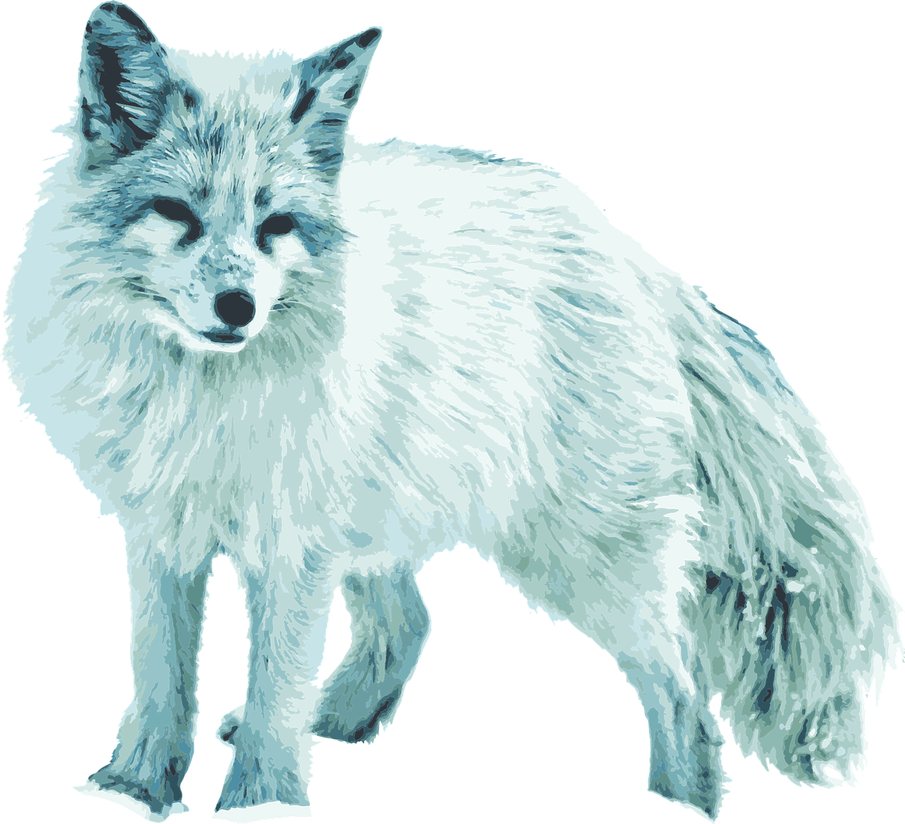 Arctic Fox Snow Download HQ Transparent PNG Image